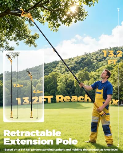 2-in-1 Cordless Pole Saw & 6-I - Mini Electric Chainsaw 6 Inch 评论和价格