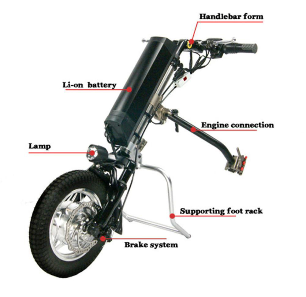 Coofull 12 16 Inch 36V Electri - Electrical 评论和价格